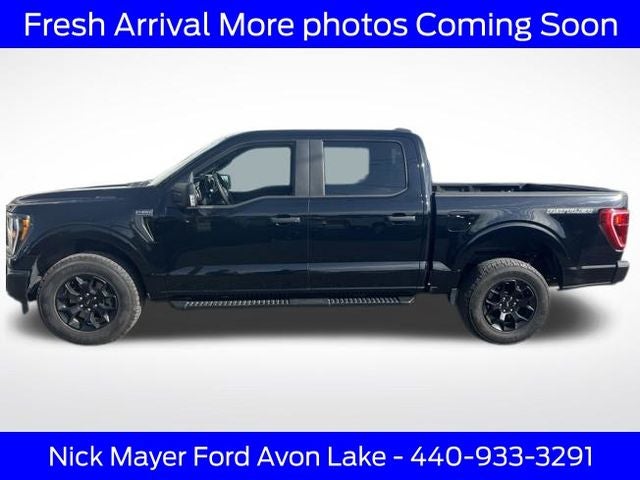 2023 Ford F-150 XL Rattler Package