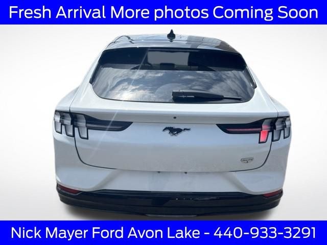2022 Ford Mustang Mach-E California Route 1
