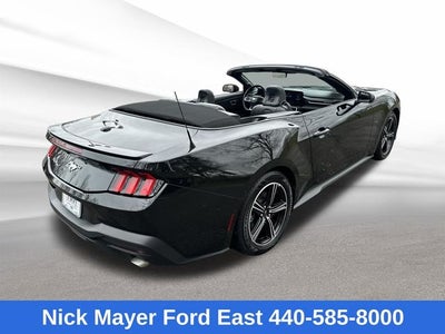 2025 Ford Mustang EcoBoost Premium