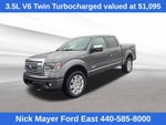 2013 Ford F-150 Platinum